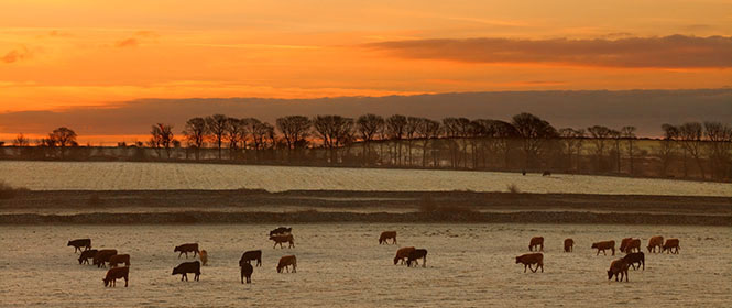 Avebury Stone Circle