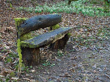 Bench Photographs