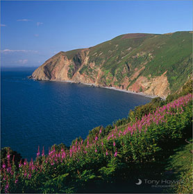 Devon Photos