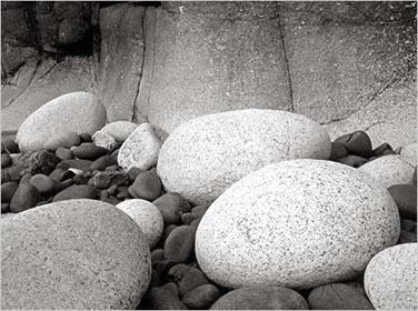 Black and White Photography