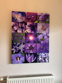 purple-flowers