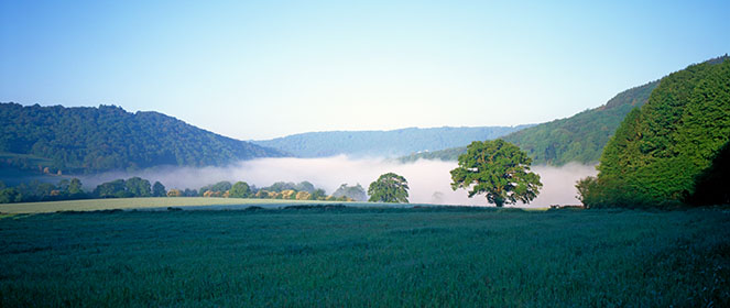 Mist, Clearwell