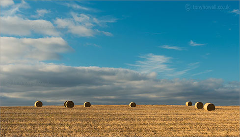 Hay Bales near North Curry