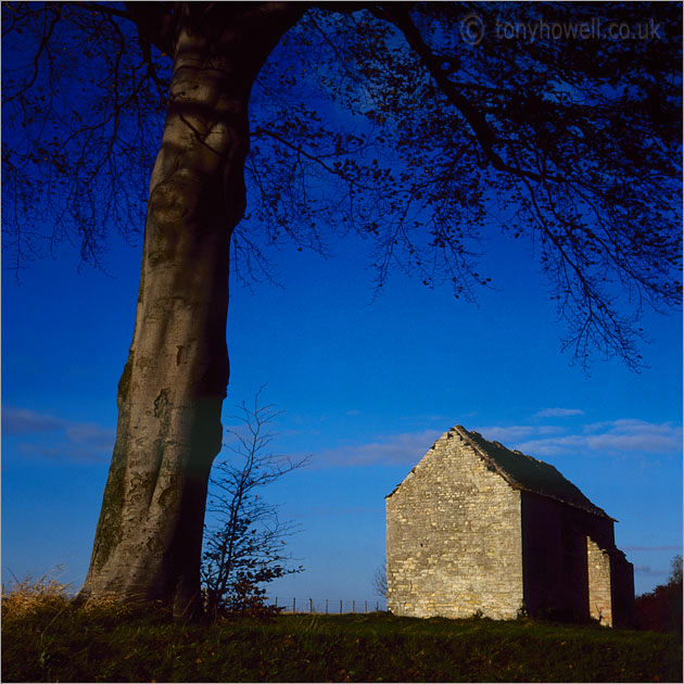 Beech Tree, Barn, 1985