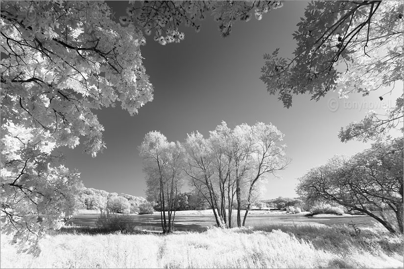 Blagdon Lake (Infrared Camera, turns foliage white)