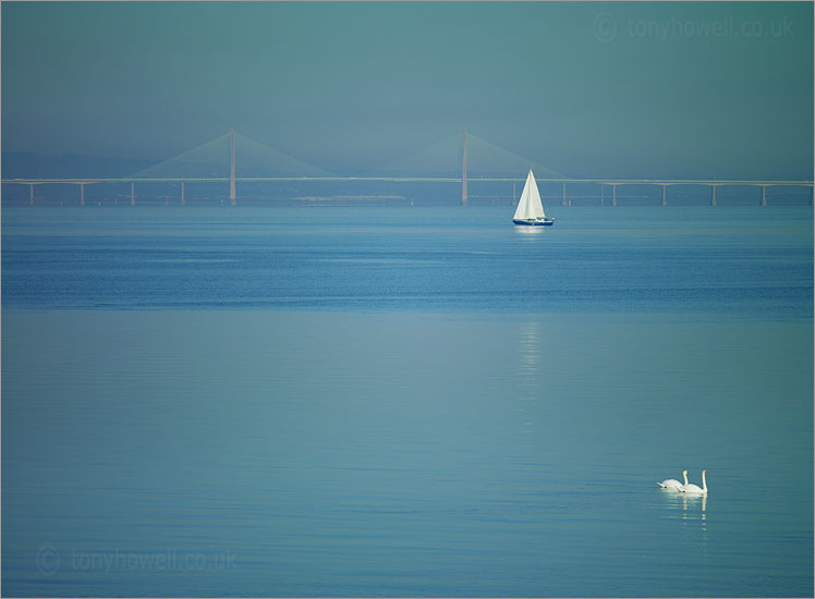 Second Severn Crossing, Yacht, Swans