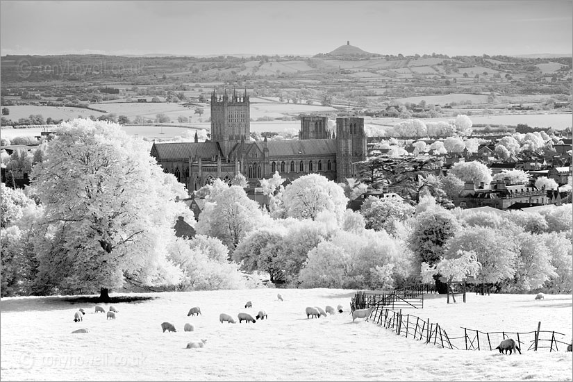 Wells Cathedral and Glastonbury Tor (Infrared Camera, turns foliage white)