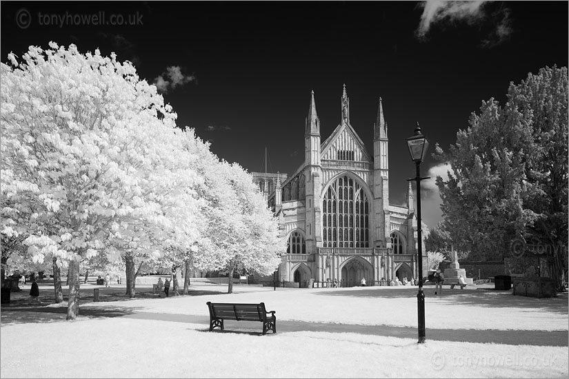Winchester Cathedral(Infrared)