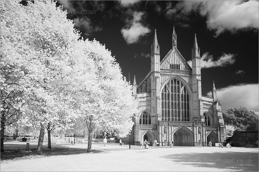 Winchester Cathedral(Infrared)