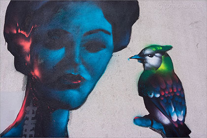 Street Art, woman and bird