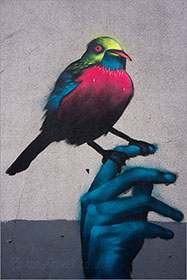 Street Art, bird