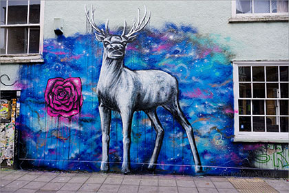 Graffiti, deer