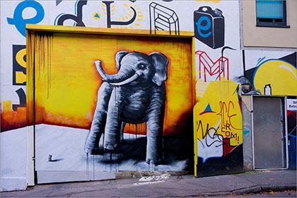 Graffiti, elephant