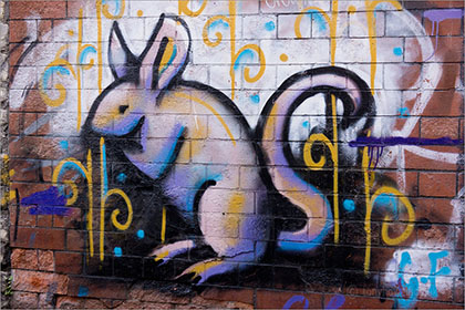 Graffiti, rat