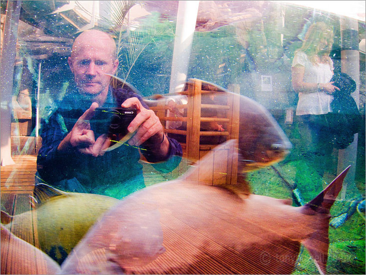 Self Portrait at Blue Reef Aquarium