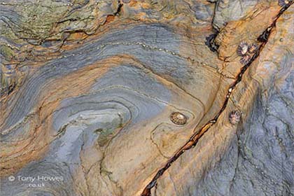 Rock-Patterns-Limpets-St-Agnes-Cornwall