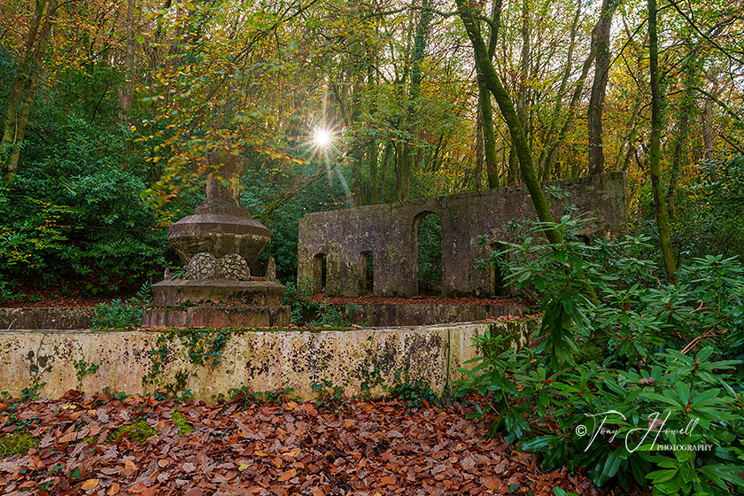 Abandoned Garden, Lerryn