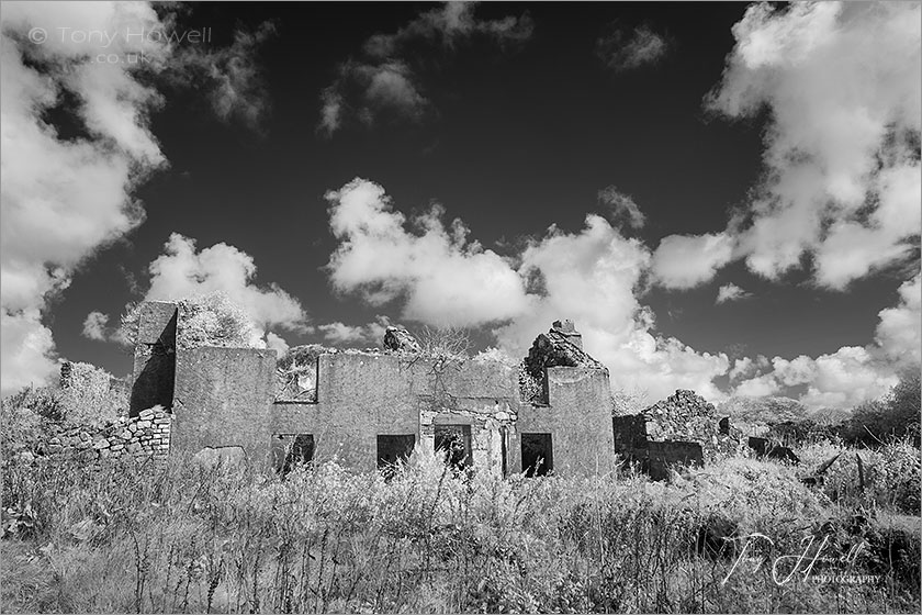 Abandoned House (Infrared Camera; makes grass and foliage go white)