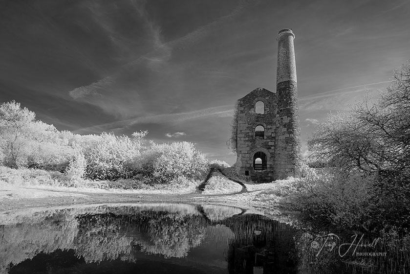 Ale and Cakes Engine House, United Downs (infrared camera; makes foliage turn white)