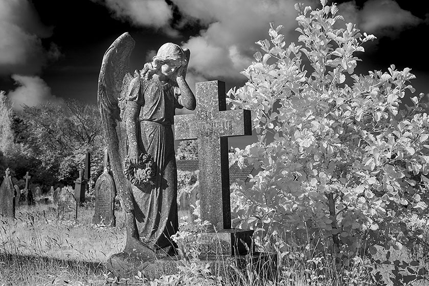 Angel Sculpture, (Infrared camera, turns foliage white) St Day Rd Cemetery, Redruth