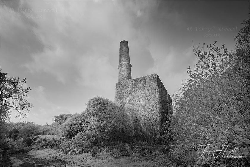 Bakers Pit Engine House (Infrared Camera; turns foliage white)