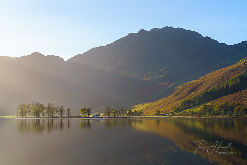 Buttermere Trees