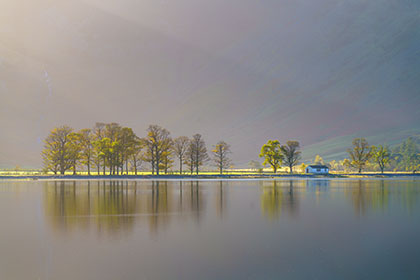 Buttermere-Trees-Lake-District-Cumbria
