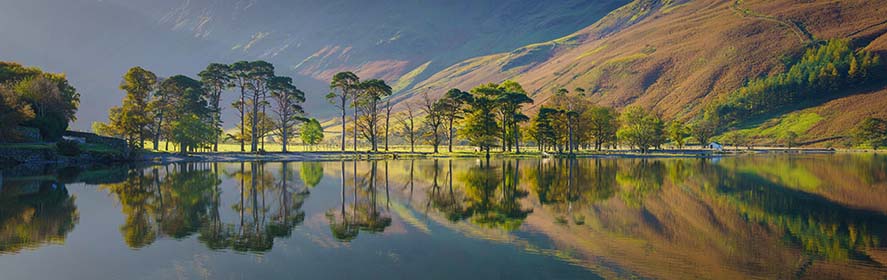 Buttermere-Trees-Lake-District-Cumbria