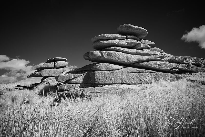 Stowes Hill, Bodmin Moor (Infrared Camera, turns foliage white)