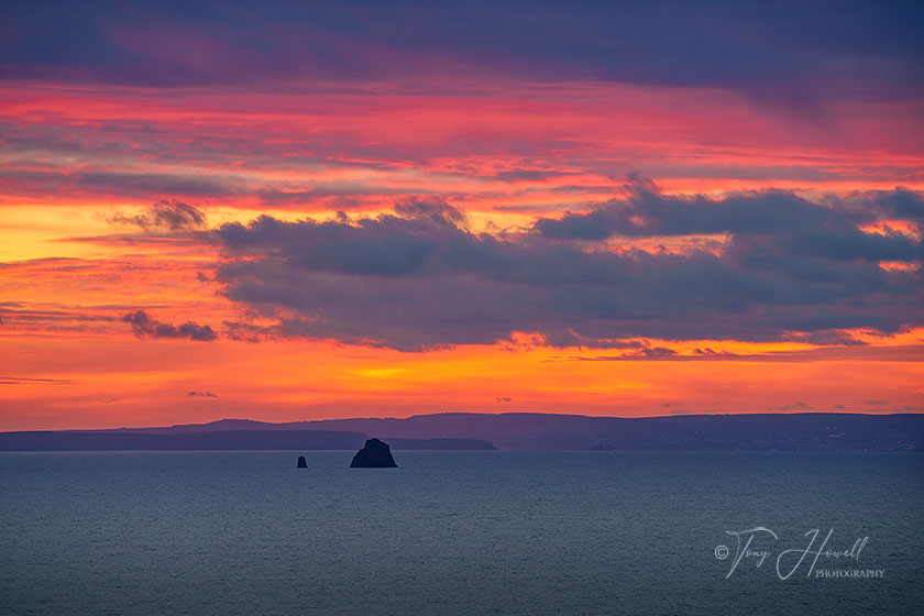 Cow and Calf, Sunset