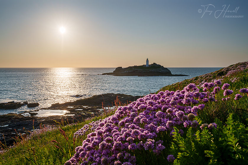 Godrevy Lighthouse, Sea Pinks