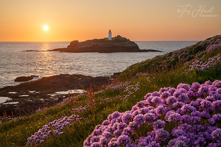 Godrevy Lighthouse, Sea Pinks, Sunset