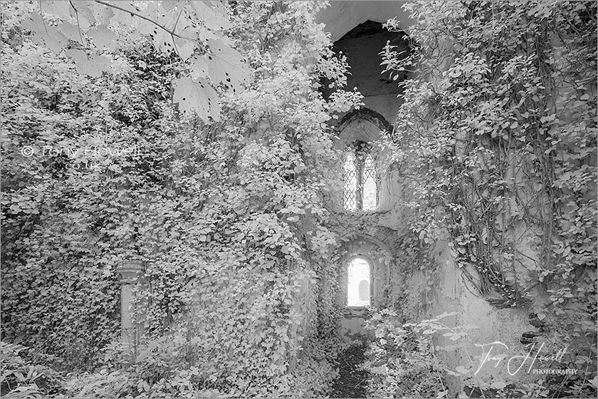 Merther Church (Infrared Camera; makes grass and foliage go white)