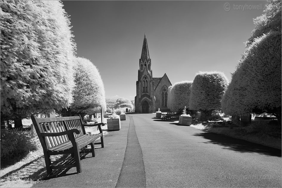 Milton Road Cemetery (Infrared Camera, turns foliage white)