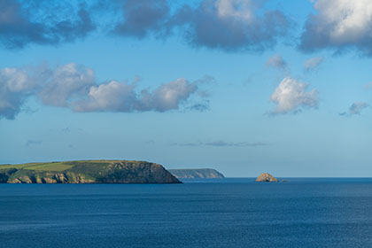 Nare-Head-Gull-Rock-Cornwall