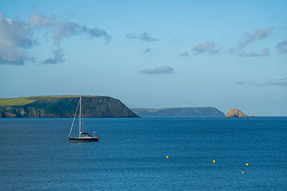 Nare-Head-Gull-Rock-Cornwall