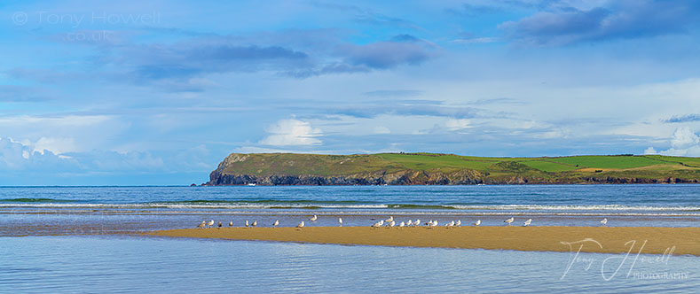 Pentire Point from Harbour Cove near Padstow