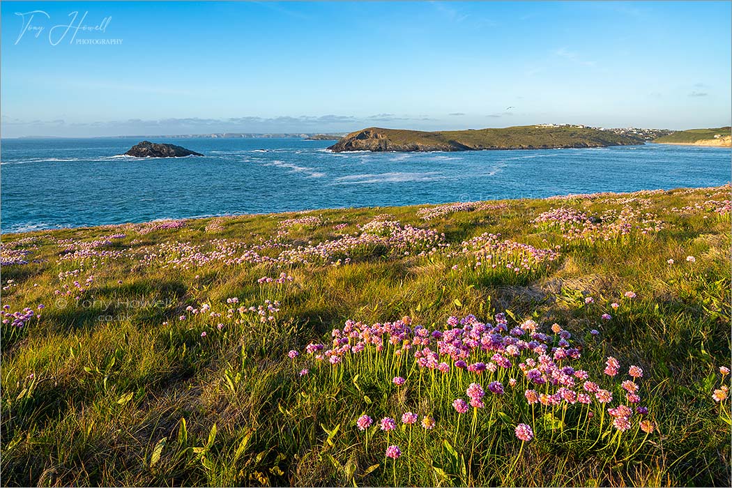 Pentire, Thrift, Crantock from West Pentire