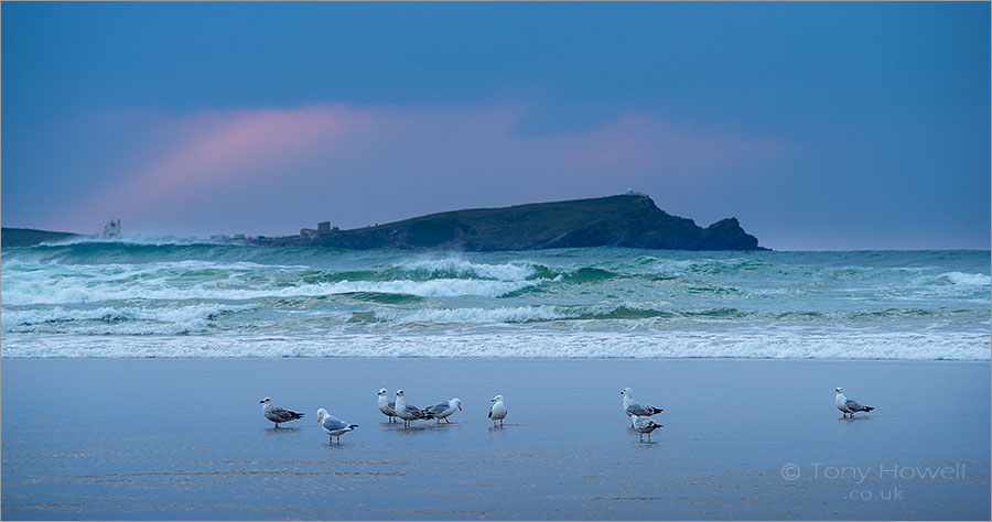 Porth Beach, Seagulls, Dusk