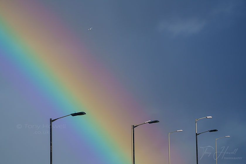 Rainbow, Newquay