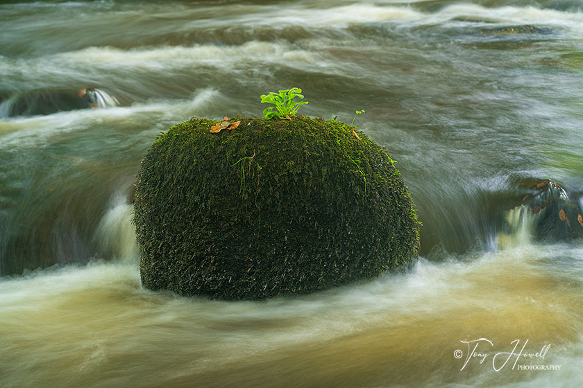 River Par, Luxulyan Valley