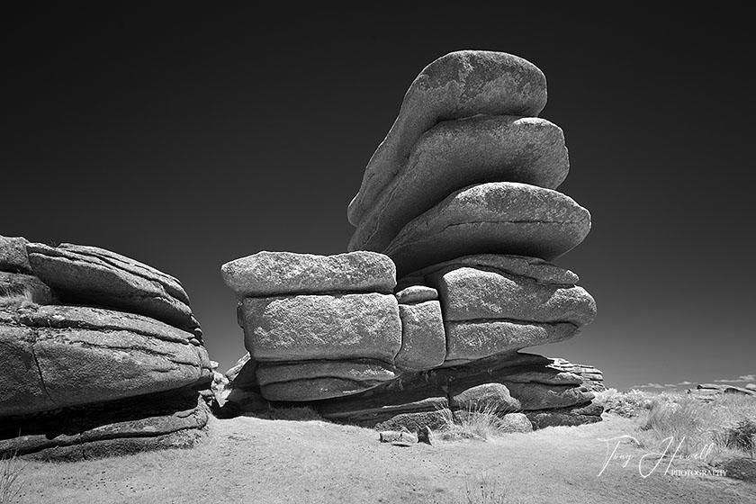 Rough Tor, Bodmin Moor (Infrared Camera, turns foliage white)