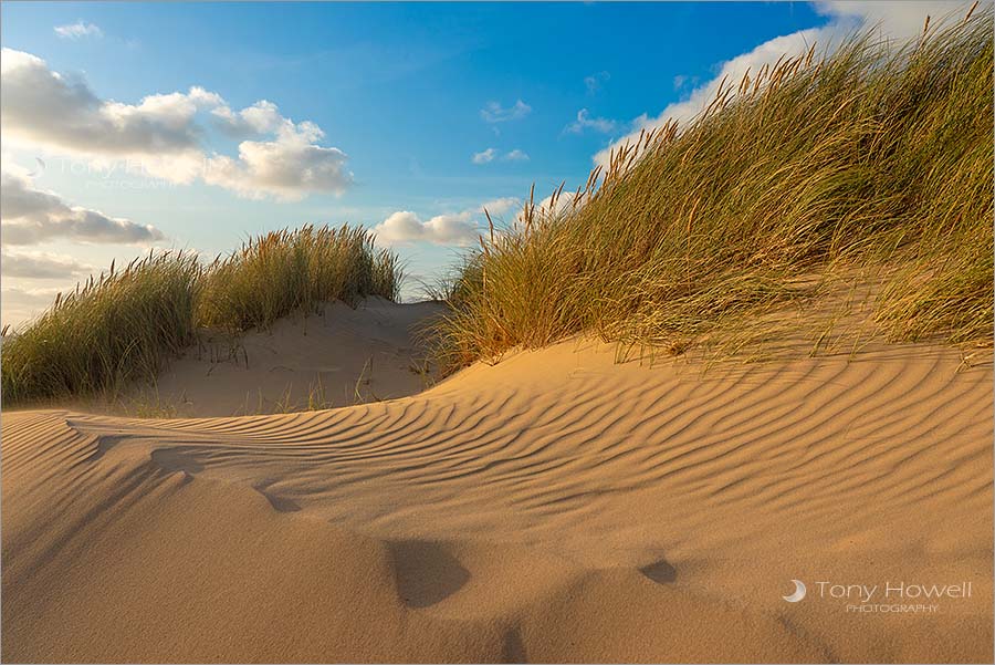 Crantock Beach Sand Dunes