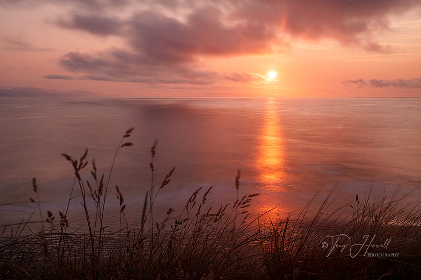 Sunset, Grasses, Perranporth