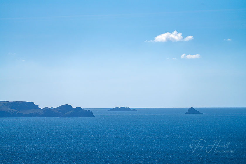 The Rumps, Gulland Rock, Newland Island