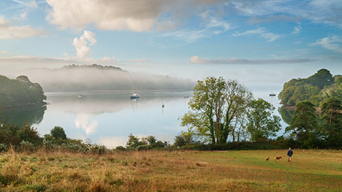 Trees-Mist-Trelissick-Truro-Cornwall