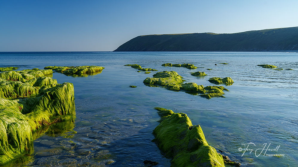 Vault Beach