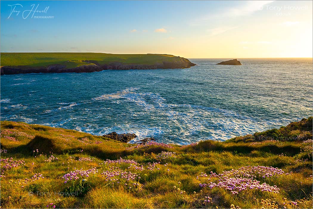 West Pentire, Thrift, Kelsey Head