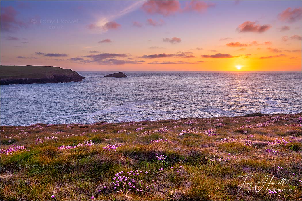 West Pentire, Thrift, Kelsey Head