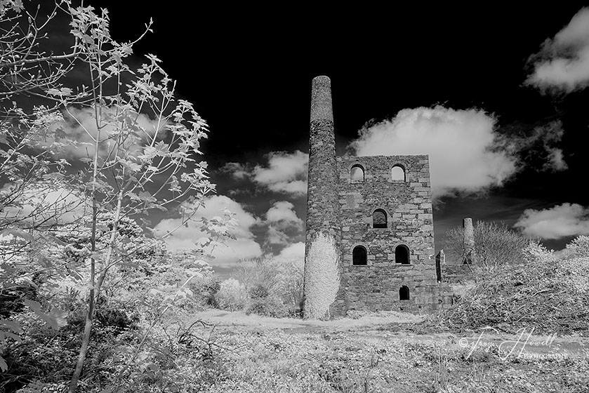 Wheal Peevor Tin Mine, Redruth (infrared camera; makes foliage turn white)